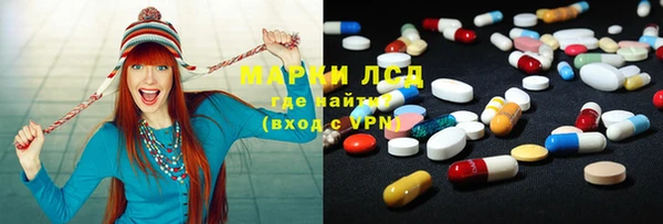 индика Дубовка