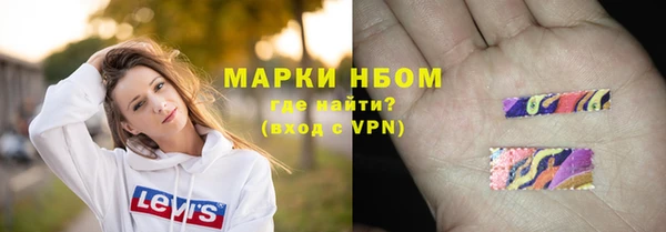 индика Дубовка