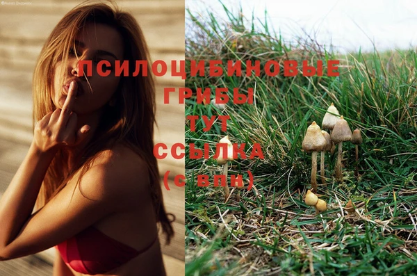 марки nbome Лиски