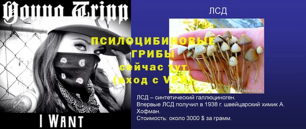 mdpv Ладушкин
