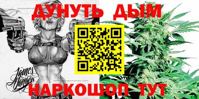 ешки Гай