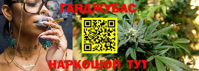 ешки Гай